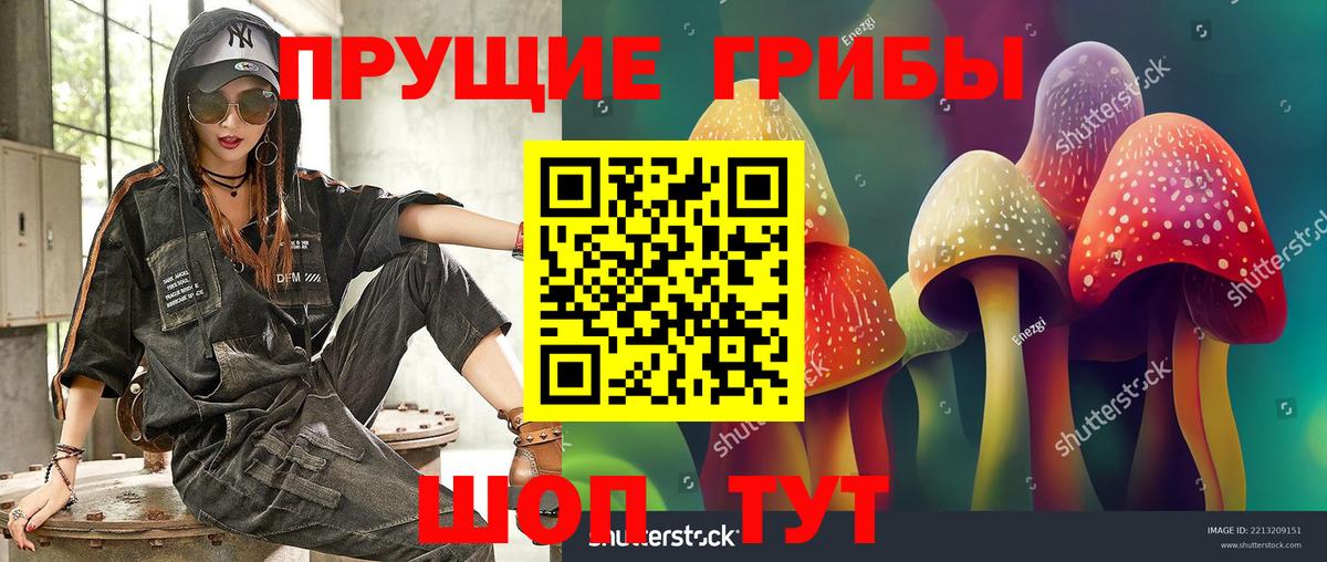Мариинск  Псилоцибиновые грибы мицелий  Вход с VPN 